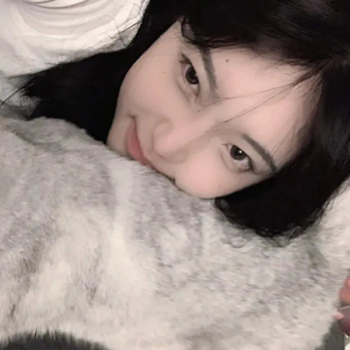 写珍集